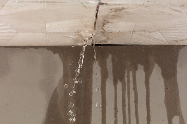 Professional Water Damage Inspection technician working in Sardis, TN